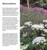 Tworzę ogród naturalny